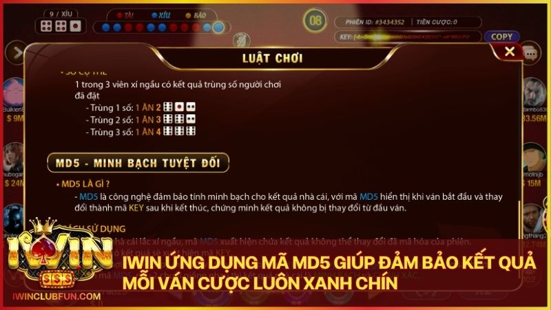 Chinh phục hũ lớn với cửa cược Bão có tỷ lệ thưởng một ăn hai trăm mười
